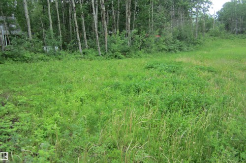 Expansive green space featuring natural foliage and a treeline border - 220- 11502 Twp Rd 604 S, Rural St. Paul County, AB 