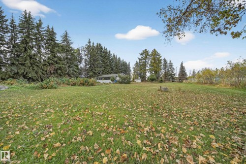 Expansive green lawn with scattered deciduous leaves - 707 65 Avenue, Edmonton, AB 