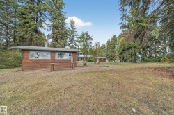 Freestanding wooden structure with multiple windows, surrounded by mature evergreen trees - 