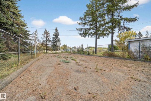 Outdoor recreational space featuring a paved court, chain-link fencing, mature evergreen trees, and a basketball hoop - 707 65 Avenue, Edmonton, AB 
