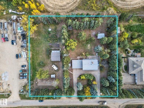 Aerial view of a residential property with extensive tree coverage and multiple outbuildings - 707 65 Avenue, Edmonton, AB 