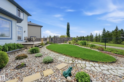 Expansive backyard featuring a stone pathway, a manicured lawn, a raised wooden deck, mature trees, and a black chain-link fence - 7460 Singer Landing, Edmonton, AB 