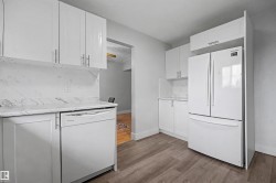 Contemporary kitchen featuring white cabinetry, wood-finish flooring, a white dishwasher, and a white refrigerator - 