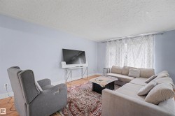 Living area featuring light wood-finish flooring and a patterned area rug - 