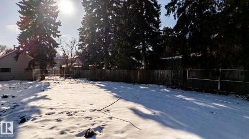 Expansive rear yard featuring a partial wood privacy fence, additional chain link fencing, and mature evergreen trees - 14307 Summit Drive, Edmonton, AB 