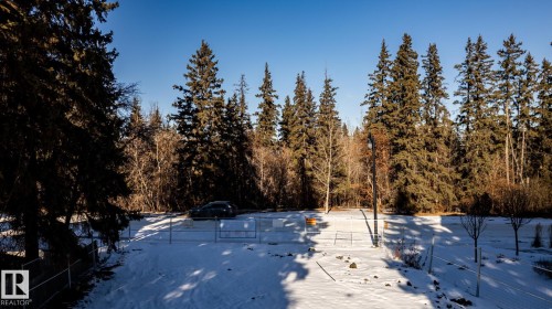 Expansive treeline providing natural privacy - 14307 Summit Drive, Edmonton, AB 