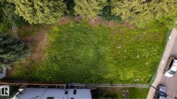 Expansive parcel featuring mature trees, abundant greenery, and a paved road frontage with sidewalk - 