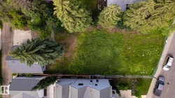Expansive undeveloped lot featuring mature trees and street frontage - 