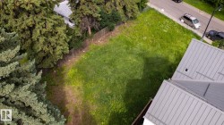Generous lot featuring a metal fence boundary and established evergreen trees - 