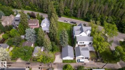 Expansive treed lot with mature evergreen and deciduous trees, bordered by a paved road - 
