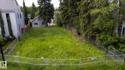 Expansive lot featuring mature perimeter trees, a chain-link fence, and a level grassy expanse - 
