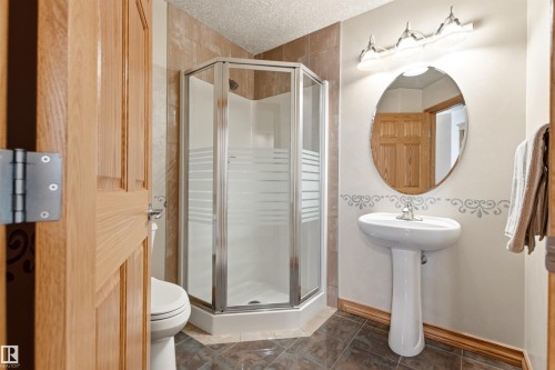 244 Wolf Willow Road, Edmonton, AB 