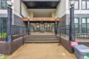 Building entrance featuring concrete steps, black metal railings, and dual exterior light fixtures - 410 10531 117 Street, Edmonton, AB 