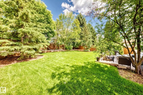 Expansive lawn area featuring mature trees and a stone-paved patio - 15146 Ramsay Crescent, Edmonton, AB 