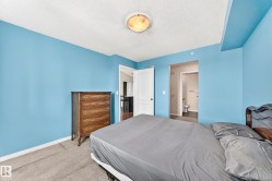 Carpeted room with blue painted walls and a textured ceiling - 