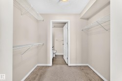 Carpeted room with wire shelving, neutral wall paint, and white baseboards - 