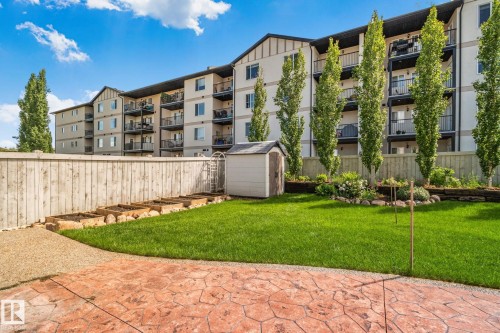 Expansive green lawn with a textured concrete patio - 39 Meadowview Court, Spruce Grove, AB 
