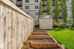 Terraced garden beds featuring wood retaining walls, a manicured lawn, a detached storage shed, and a privacy fence - 