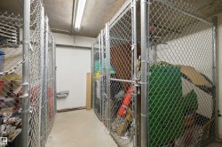 Dedicated storage units featuring chain-link construction and concrete flooring - 