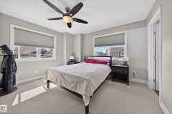 Bedroom featuring a ceiling fan with integrated lighting, two windows with blinds, light-toned carpeting, and neutral wall paint - 