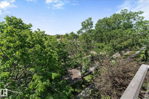 Elevated perspective showcasing a tree-lined street and surrounding properties, framed by lush foliage and a clear sky - 408 11140 68 Avenue, Edmonton, AB 