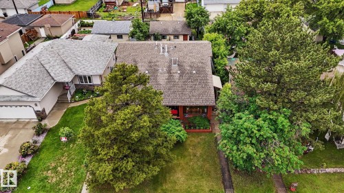 Spacious lot featuring mature trees and a manicured lawn - 10242 161 Street, Edmonton, AB 