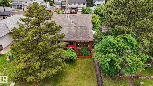 Gable roof home featuring mature trees, a front lawn, and a paved walkway - 10242 161 Street, Edmonton, AB 