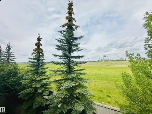 Expansive green field and distant horizon framed by mature evergreen trees - 318 646 Mcallister Loop, Edmonton, AB 