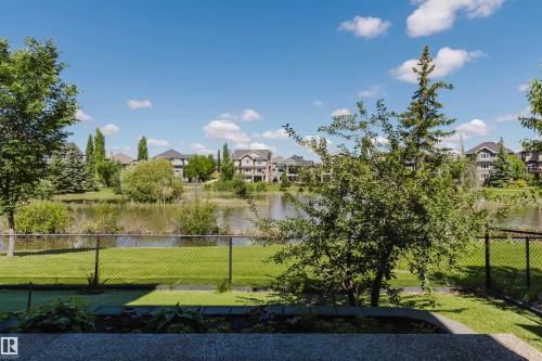 Landscaped backyard with chain-link fencing bordering a serene pond, expansive green space, and mature trees - 3438 West Landing Landing, Edmonton, AB 