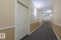 Brightly lit hallway with textured beige walls, white trim, and dark gray carpet flooring - 