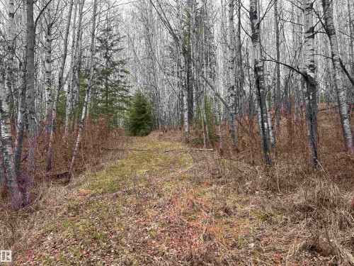 Ne-30-62-23-W4, Rural Athabasca County, AB 