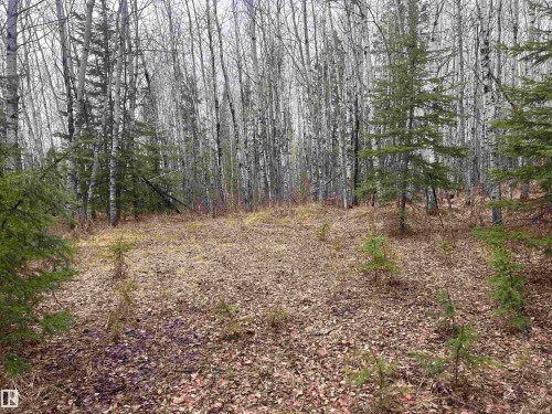 Ne-30-62-23-W4, Rural Athabasca County, AB 