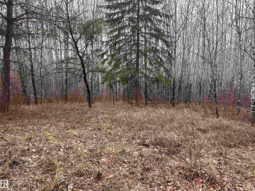 Ne-30-62-23-W4, Rural Athabasca County, AB 