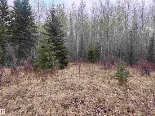 Ne-30-62-23-W4, Rural Athabasca County, AB 
