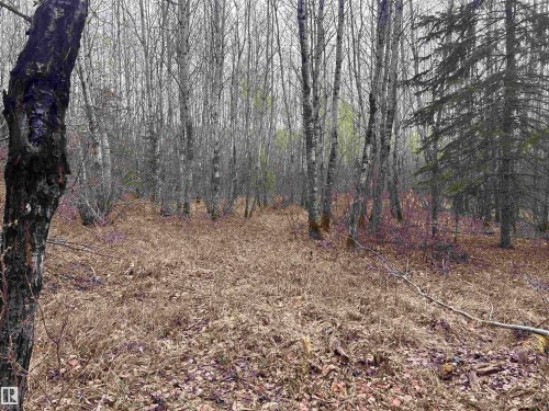 Ne-30-62-23-W4, Rural Athabasca County, AB 