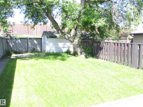 Massive yard with shed to enjoy! - 10946 165 Street Nw, Edmonton, AB 
