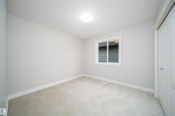 Spacious room featuring neutral carpeting, light gray wall paint, and white trim - 