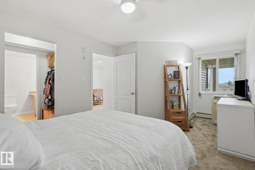 White-painted bedroom with gray carpet flooring and a ceiling fan - 426 3425 19 Street, Edmonton, AB 