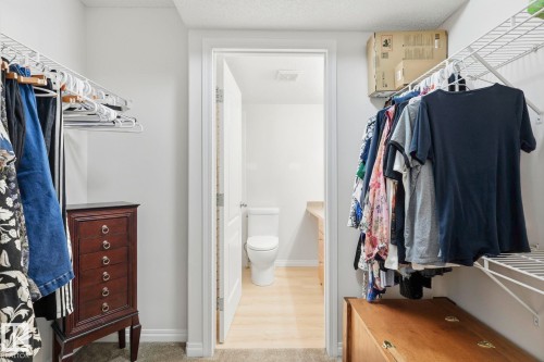 Walk-in closet featuring wire shelving, hanging rods, and carpeted flooring - 426 3425 19 Street, Edmonton, AB 