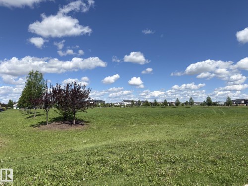Expansive green space featuring mature trees and a clear sky backdrop - 3110 Paisley Road, Edmonton, AB 