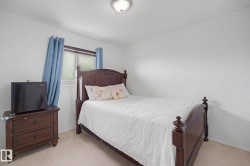 Neutral wall finishes, recessed window, and wall-to-wall carpeting - 