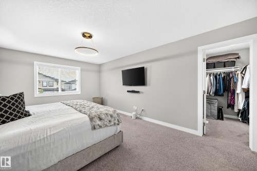 Carpeted room featuring a white-trimmed window, a modern ceiling light fixture, and a built-in closet with shelving and hanging rods - 93 Richmond Link, Fort Saskatchewan, AB 