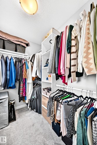 Walk-in closet featuring carpet flooring, built-in shelving, and multiple hanging rods for organization - 93 Richmond Link, Fort Saskatchewan, AB 