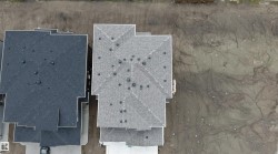 New construction residence featuring a multi-gabled roofline with asphalt shingles - 