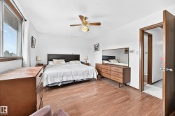 Bright room featuring wood-finish flooring, a ceiling fan with integrated lighting, and a window with a roller shade - 