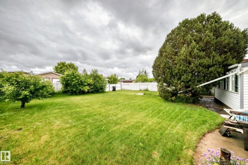 Expansive green lawn with mature trees and perimeter fencing - 13804 87 Street, Edmonton, AB 