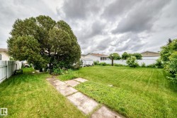 Expansive backyard featuring a mature tree, manicured lawn, and white picket fencing - 