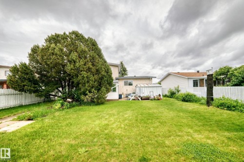 Expansive green lawn with a mature evergreen tree - 13804 87 Street, Edmonton, AB 