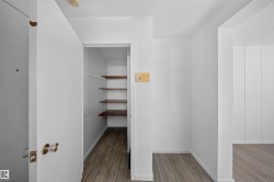 Walk-in pantry featuring wood-finish shelving and plank flooring - 