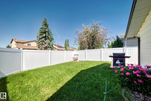 Enclosed backyard featuring a manicured lawn, white vinyl fencing, and a decorative garden bed with vibrant pink blooms - 11708 138 Avenue Nw, Edmonton, AB 